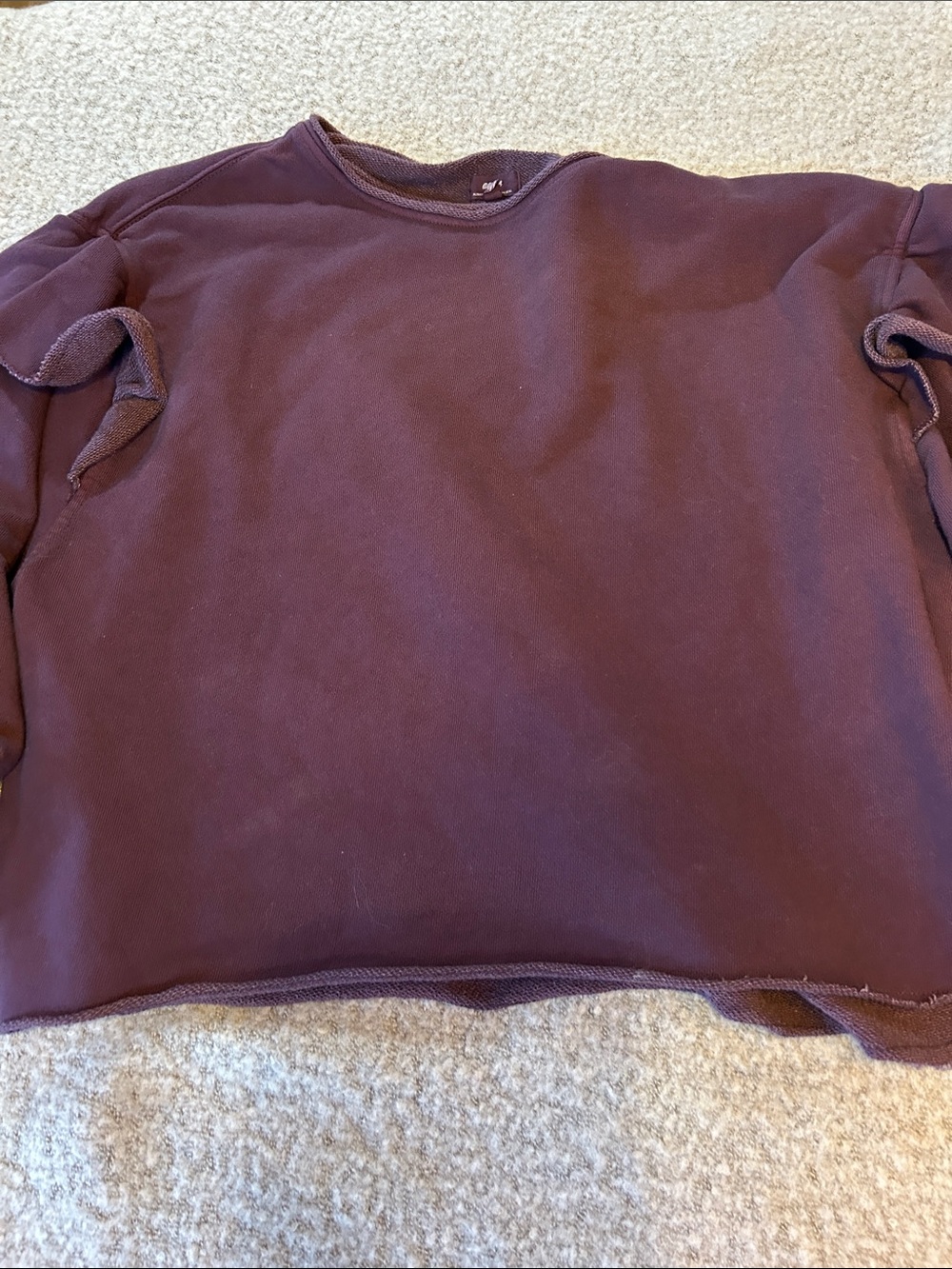 Women’s size small Aerie Plum Long-Sleeve Crewneck Top